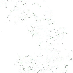 Ancient woodlands preview