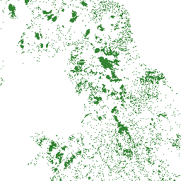 Ecology and wildlife preview